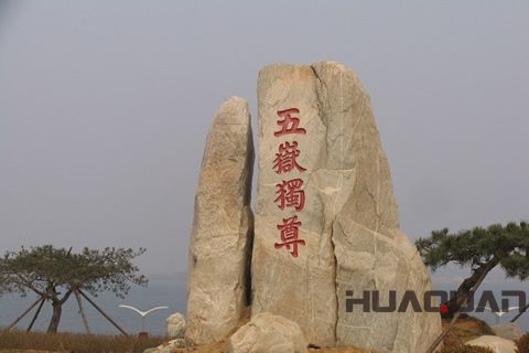 春晚花落泰山？華全機組關注之余還做了這事兒