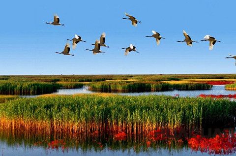 華全發(fā)電機：接地氣！大濰坊一言不合又攢了個全省 