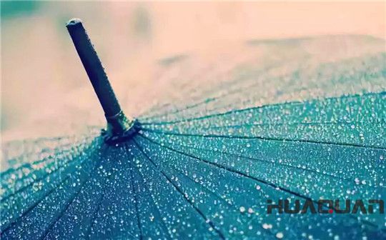 五月的雨，灑遍濰坊，鮮活了一座城，清新了城里的華全人